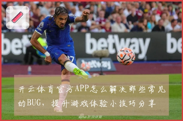 开云体育官方APP怎么解决那些常见的BUG，提升游戏体验小技巧分享